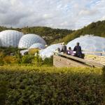 A young family looking out over the Eden biomes and gardens